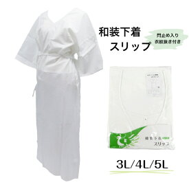 和装下着 【閂止め入り レースなし】 3L 4L 5L 衣紋抜き付き 白 肌襦袢 裾除け 一体型