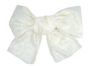 q[X 3F (sNETbNXEIt) ݃J[ ǂߑ 䂩 LbY WjA ւ ւ キ NVNV