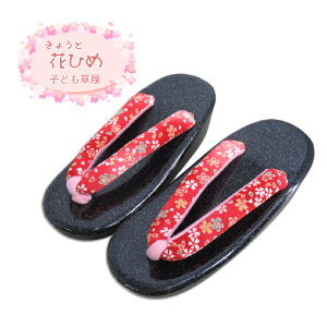 qǂ yz 16.0cm 18.0cm 20.0cm 22.0cm ܎O   Ղ    傤 ԂЂ