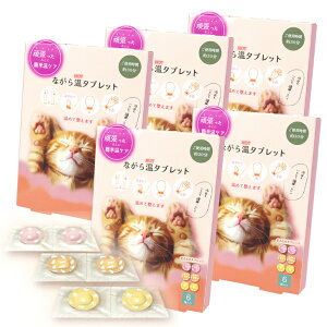 Ȃ牷(HOT)^ubg 6PZbg s\邾^ubg 6 ()gp 30 t ߂Đ  zbg bNX ˂ L ق瓰