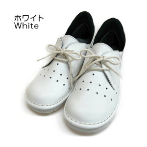 yA-OKzs4EtTbƗȃq[`XgbvV[Y{sKK3504tgx/o/s/ʋ/₷/O䓙/4E