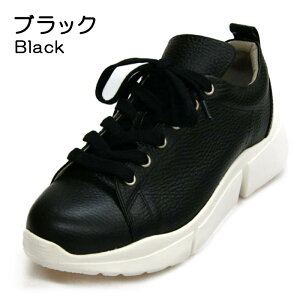 yA-OKzs4EtꃌU[Xj[J[II{sFK602tgx/o/s/ʋ/₷/O䓙/4E