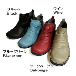 hNEWh2025AWyA-OKzs4Et₷ԃRtH[gu[c{sMS85220tgx/o/s/ʋ/₷/O䓙/4E