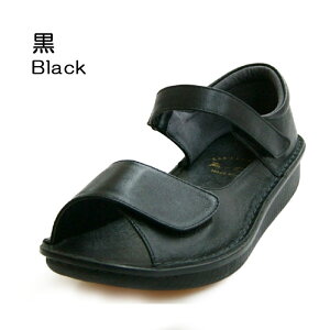 yA-OKzs4EtxNŔ߉\ȃJWAT_{sMS8916tT_/JWA/gx/₷/O䓙/4E