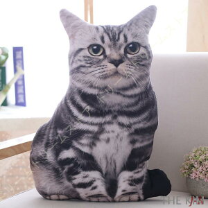 L A  傫 50cm TCY CAT ʂ ueBbVV[gwA[ AJV[gwA g   ʂݕ