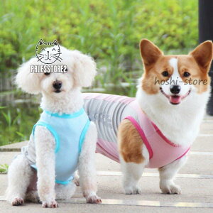 p pxXg ^p Ђ肨U xXg G炵či MǑ΍ ΍ ⊴xXg  N[ Vc o P ybg  ĕ