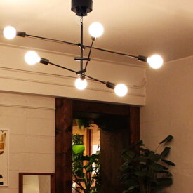カーディナル ブラック ペンダントランプ 白熱球付属 Cardinal black pendant lamp ディクラッセ DI CLASSE【RP10】【10RC】