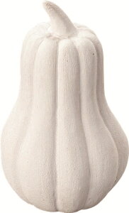 t[cIuWF IuWF ڂ   u CeAG  ʕ   A[g  RpNg rO 킢 RNV