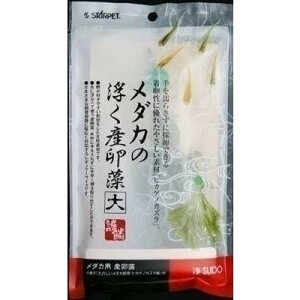 Xh[ _J̕Y  Ϗ܋pi |p