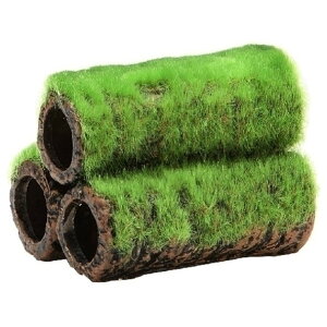 WFbNX GEX Șa̒ y S Ϗ܋pi