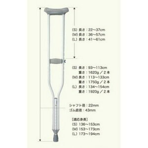 �P�C�z�X�s�A ���t�� 2�{�g S