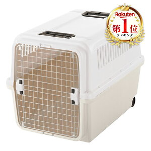 b`F L[P[X ^`^p ̏dڈ`40kg LsOL[ XL AC{[