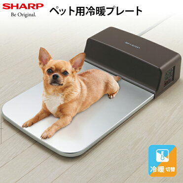 Sharp Pl Pt40d T ペット用冷暖房プレート 犬猫 小動物 冷房 暖房 夏 冬 Room 欲しい に出会える