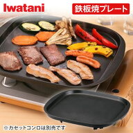 イワタニ 鉄板焼プレート(本体別売り) CB-A-TPP カセットフー専用 フッ素加工 バーベキューコンロ ガス …