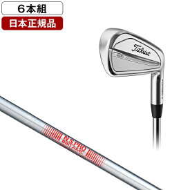 タイトリスト T200 アイアンセット 6本組 (#5-Pw) 2023年モデル N.S.PRO 880 AMC S スチールシャフト 【日本正規品】