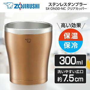 ۈ SX-DN30-NC NAJbp[ [ XeX^u[ 300mL ] SXDN30NC