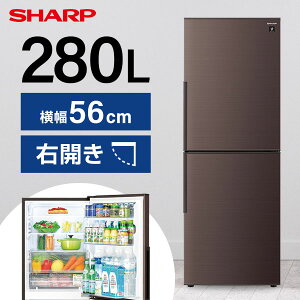 SHARP SJ-PD28J-T AR[uE [① (280LEEJ)] GNvI