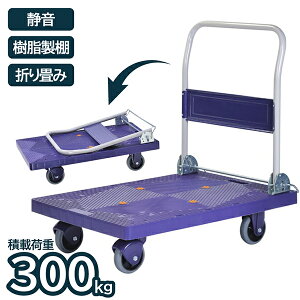 ܂肽 É  300kg  ܂ ړ ^ ו S J[g Ɩp Ɨp q ItBX X ACEGEV[ ILC JU3001