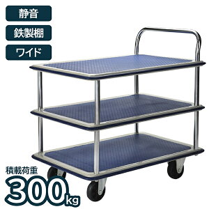  Ch É S 300kg 3i ܂ ړ ^ ו S J[g Ɩp Ɨp q ItBX X ACEGEV[ ILC TE3003W