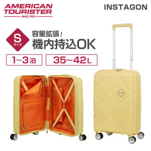 AJc[X^[ X[cP[X CX^S S TCY @ eʊg Ki [J[ۏ TSAbN 4   킢 s INSTAGON 55EXP T\iCg
