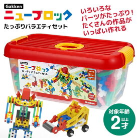 学研ステイフル Gakkenニューブロック たっぷりバラエティセット