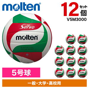 y12Zbgze o[{[ 5 \tgT[u V5M3000