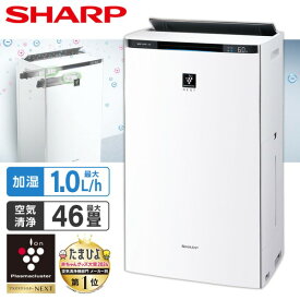 空気清浄機 シャープ KI-SX100-W ホワイト系 プラズマクラスターNEXT 搭載 SHARP 加湿空気清浄機 ( 空清 46畳 /加湿 プレハブ洋室 28畳 木造和室 17畳 まで) KI-TX100 の前型番 高性能フィルター PM2.5対応 プレフィルター自動掃除 加湿器 脱臭 集じん kisx100 KISX100