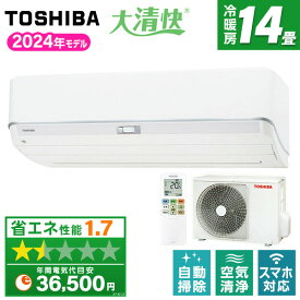 エアコン 14畳 東芝 TOSHIBA 単相200V 2024年モデル RAS-N402DZ 冷房 暖房 除湿 送風 タイマー フィルター 自動掃除 プラズマ空清 リモコン 簡単操作 夏 暑さ対策 早期準備