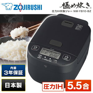 ъ 5.5 ۈ NW-YB10-BZ X[gubN ɂߐ IHъ 5.5 V GNvI