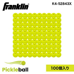 Franklin tN sbN{[ X-40 sbN{[ 100 PACK BOX K4-52843X USAPAF USI[vsbN{[I茠gp