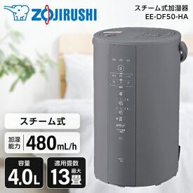 加湿器 4L 象印 EE-DF50-HA グレー スチーム式加湿器 木造8畳 プレハブ洋室13畳まで 大容量 スチーム式