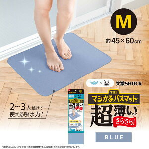 bN oX}bg  ɔ 炳 45×60cm { OK C}bg  ׂ~ z  }bg O[ x[W u[ O[ ΌSHOCK j`J }WoX}bg L