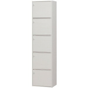 ACXI[} CX-55FD ItzCg [ J[{bNX 5hA^Cv 5i ] [J[