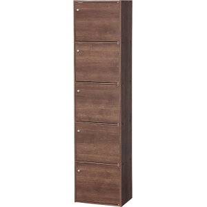 ACXI[} CX-55FD uE [ J[{bNX 5hA^Cv 5i ] [J[