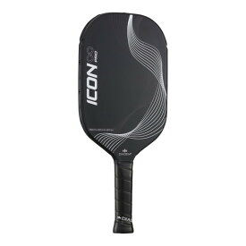 DIADEM ダイアデム TPA013 230 アイコン インフィニティ プロ ブラック [パドル]