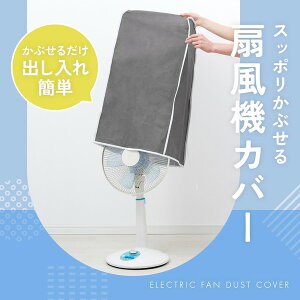 ACfBA 1010259 Xb|Ԃ@Jo[ O[