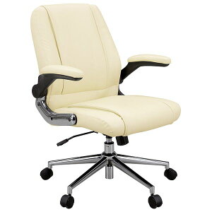 ։Ƌ 184238 Iˏグ}l[Wg`FA N[yԎwsz [J[ V