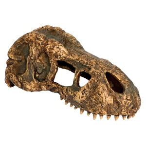 WFbNX T-REXXJS PT2860