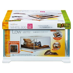 WFbNX veAzCg 300CUBE Low