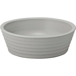 j\ 600803410 ||bg S X[XO[