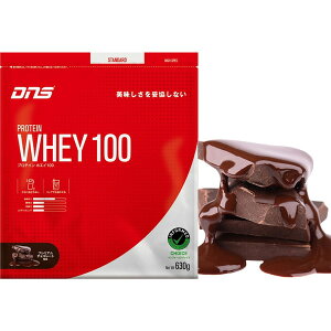 DNS PW100630 CHC veCzGC100 [v~A`R[g 630g]