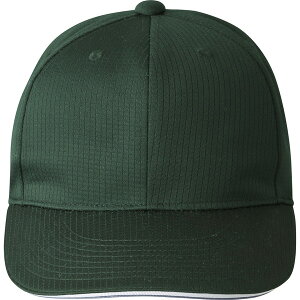 DESCENTE fTg 싅EGA AJLbv O[ L DB5SCP01M GR00