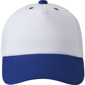 DESCENTE fTg 싅EGA tgplLbv zCg M DB5SCP02M WHBL