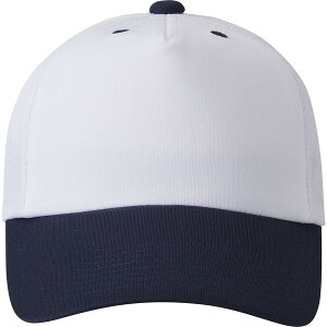 DESCENTE fTg 싅EGA tgplLbv zCg L DB5SCP02M WHNV