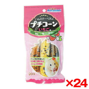 y24ZbgzhM[} nX^[EX̃v`R[  60g