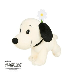 ZLO` t@[XgXk[s[ ʂ S s[ibc