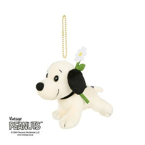 ZLO` t@[XgXk[s[ L[`F[}XRbg s[ibc