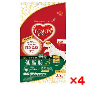 �y4�Z�b�g�z���{�y�b�g�t�[�h �r���[�e�B�[�v�� �h�b�O �ᎉ�b 1�΂��� 2.5kg