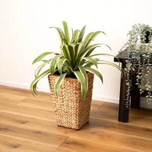 J GRNB-53S [v^[pnC^Cv] [J[