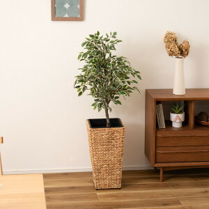 J GRNB-53M [v^[pnC^Cv] [J[